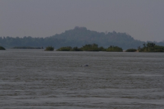 2014.04.18_19_Kratie_dolphins__3_von_39_