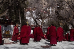 2013.12.07-08_Lhasa__36_von_65_