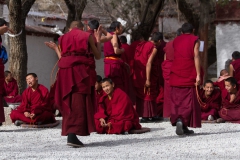 2013.12.07-08_Lhasa__52_von_65_