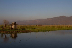 2014.02.07_Inle_Lake_Seetour_199