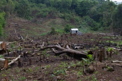 Impressionen_-_Kambodscha_Vietnam_28